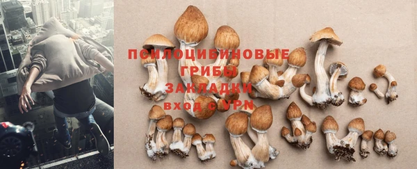 кристаллы Кукмор
