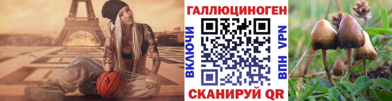 Псилоцибиновые грибы Cubensis  площадка телеграм  Лысково 